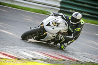 Advanced Group White Bikes